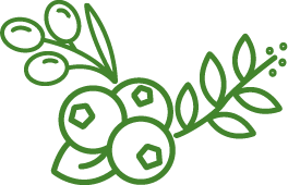 ICON DIVERSIFICACION