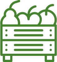 ICON EXPERIENCIA EN AGROEXPORT