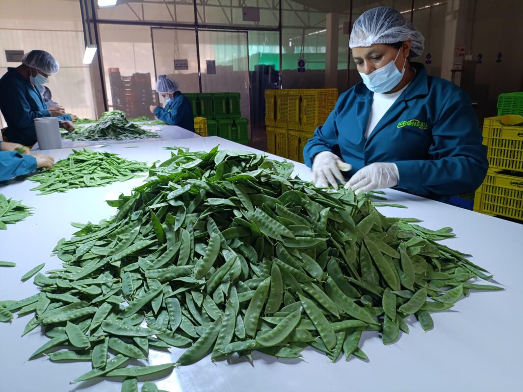 WhatsApp Image 2025 09 16 at 8.43.34 AM 1