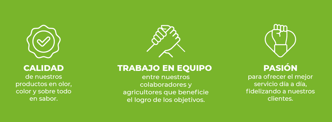 icon calidad trabajo pasion