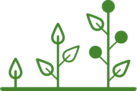 icon manejo responsable